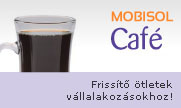 MoBISoL Cafe