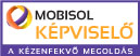 Mobisol PDA Kpvisel logo