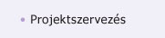Projektszervezs